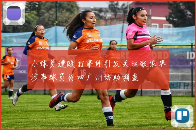 小球员遭殴打事件引发关注张家界涉事球员将回广州协助调查