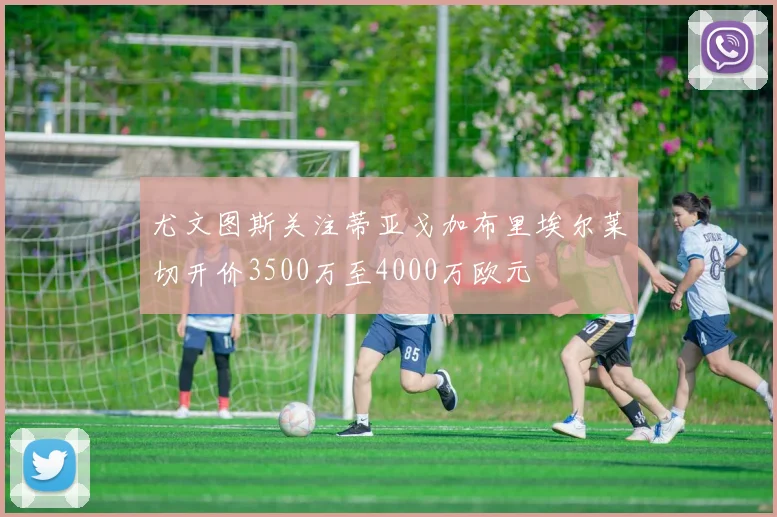 尤文图斯关注蒂亚戈加布里埃尔莱切开价3500万至4000万欧元